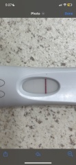 Pregnancy test opinions on line