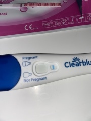 TTC February 2024 ✨