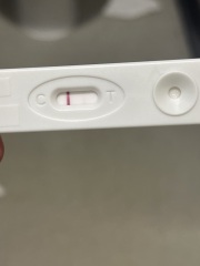 TTC February 2024 ✨