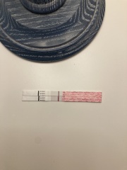 1 DPO TTC 1st - company for the TWW?