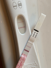 Clear blue evap line