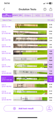 2024 TTC 35+ Part 1
