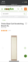 Cat scratching the walls