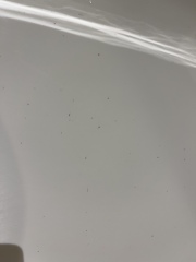 What are the black dots in my bath?