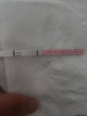 TTC February 2024 ✨