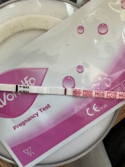 Pregnancy tests