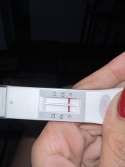 Clear blue test. Evap line or positive