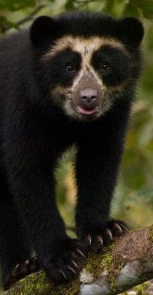 Why are all glasses soo big now?