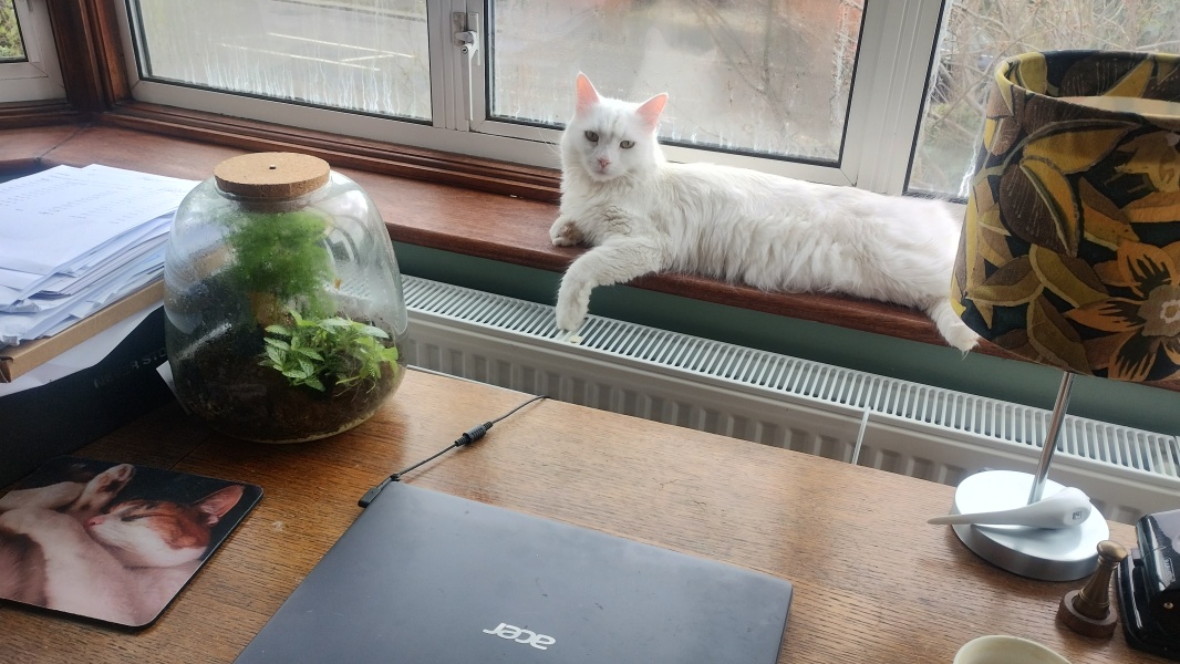 Stage 4 cancer... ? incurable? Thread #2 is here.  In memory of our inspiring, lovely mowly77