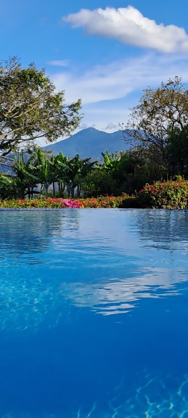 Holidays abroad booked this year?