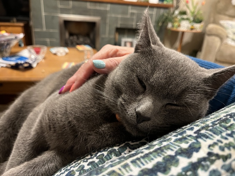 Finlay update - week 2 hydrotherapy
