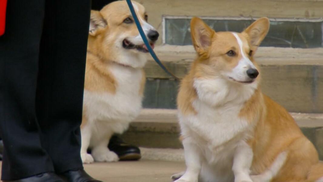 Royal Photographers and their iconic photographs: the best of the best