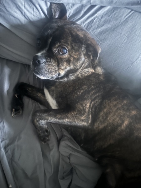 I'm being catfished on FB - LIVE!!!!