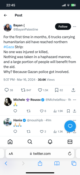 IDF statement on Aid Convoy Stampede