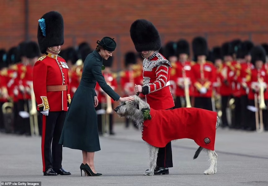 Royal Photographers and their iconic photographs: the best of the best