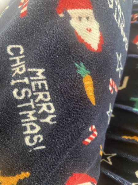 To go out in my Christmas pj bottoms
