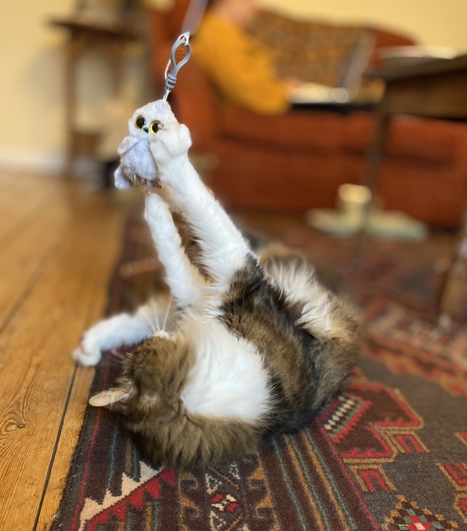 Thread 12 - TalkLair: “I say we take off and nuke the entire site from orbit. It's the only way to be sure.”