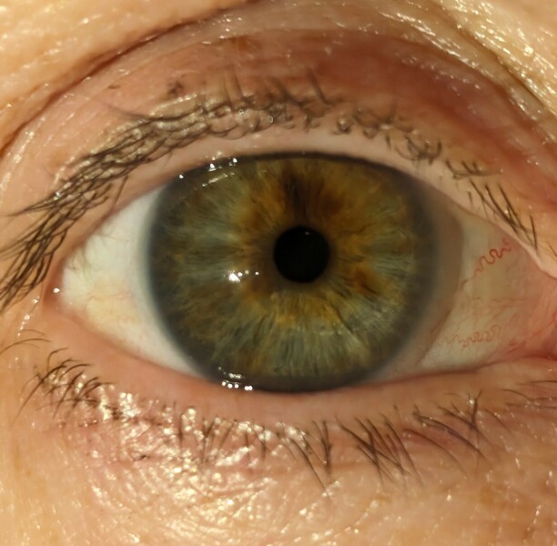 For all those 'what colour are my eyes' posts