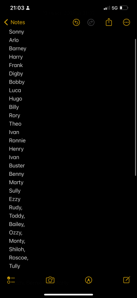 Due September - Thread 5! 🐣❤️🧡💛