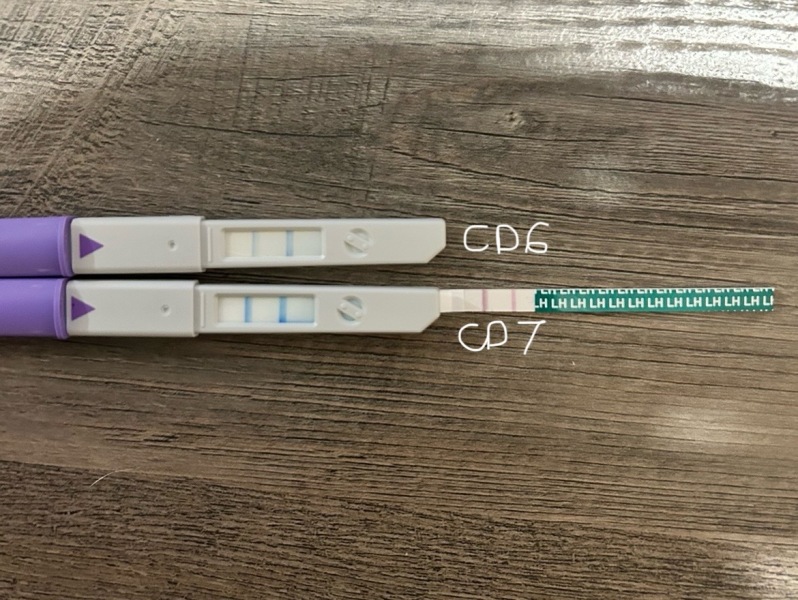 Strange cycle and early ovulation, 2nd period after failed IVF