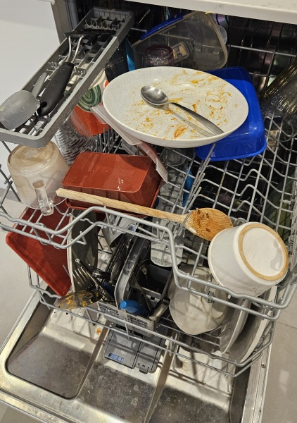 If your nearest-and-dearest packed the dishwasher like this ...