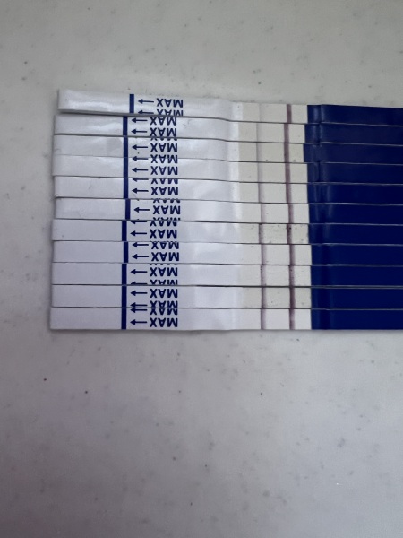 No line progression
