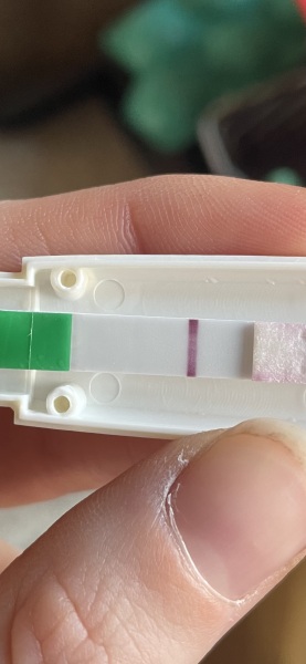 Bfp or indent?