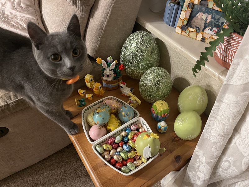 Tales and Tails and NMCs  -  the Excellent Cats March On