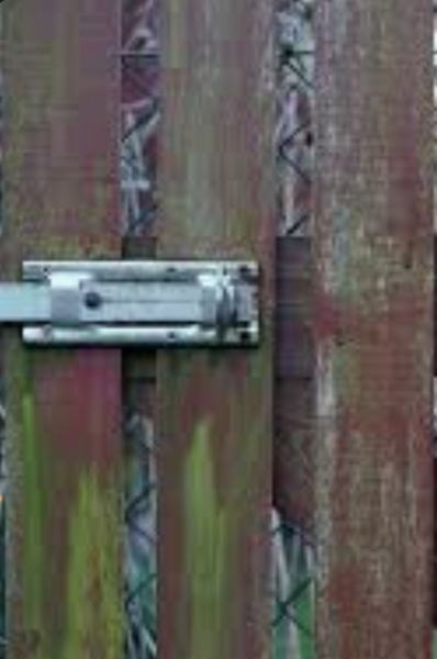 Ideas on how to remove lichen from fence panels Arthritis and weakness in hands