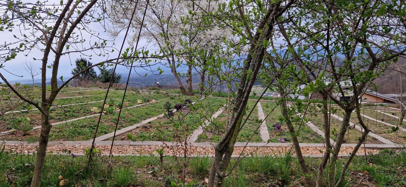 Come chat hiking with me!