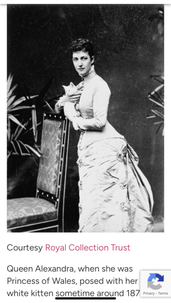 Royal Photographers and their iconic photographs: the best of the best