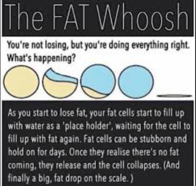 Help with weight loss plateau