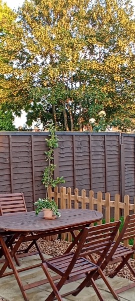 Would you paint this patio set?