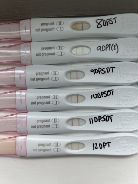 6DP5DT ? BFP