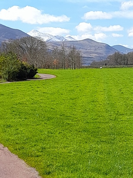 Irish (the language)