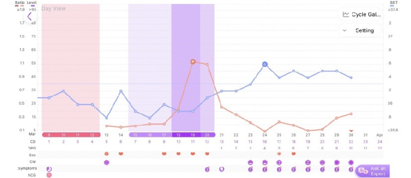 Does this look like a BFP Chart???