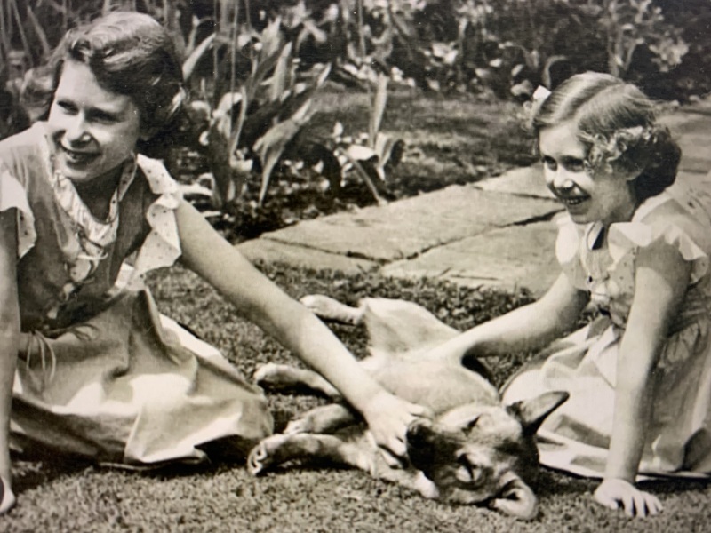 Royal Photographers and their iconic photographs: the best of the best