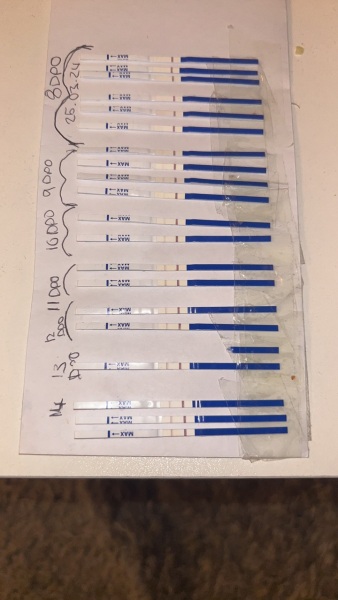 One step tests - progression lines