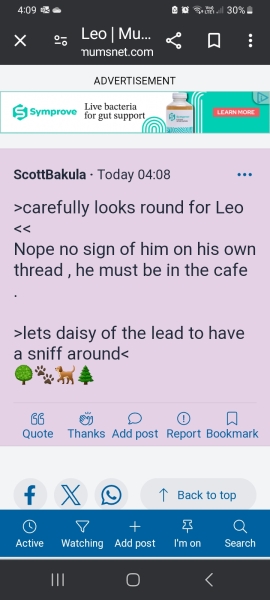 The happy Place Café is still open - 2024