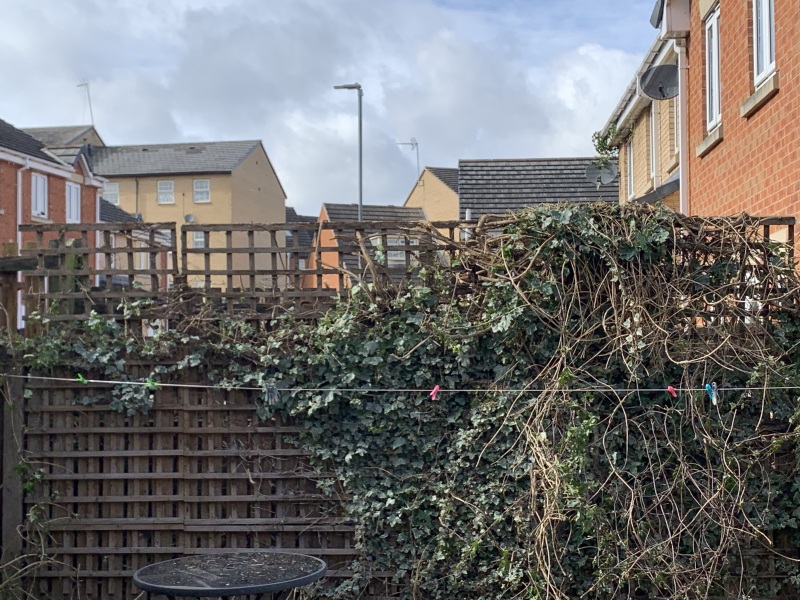 To think you can’t just cut someone’s bushes down?
