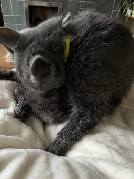 Finlay update - week 2 hydrotherapy