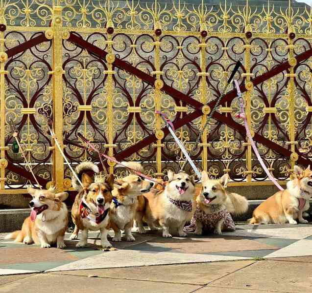 Royal Photographers and their iconic photographs: the best of the best