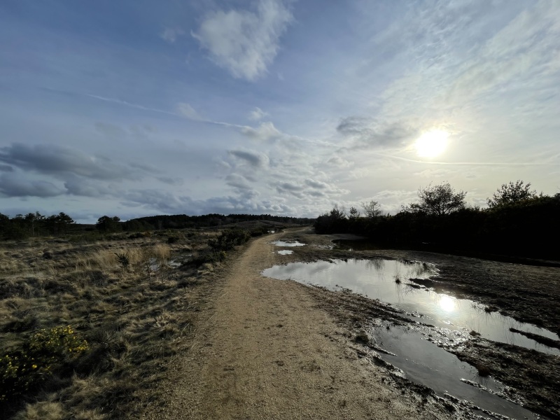 Come chat hiking with me!