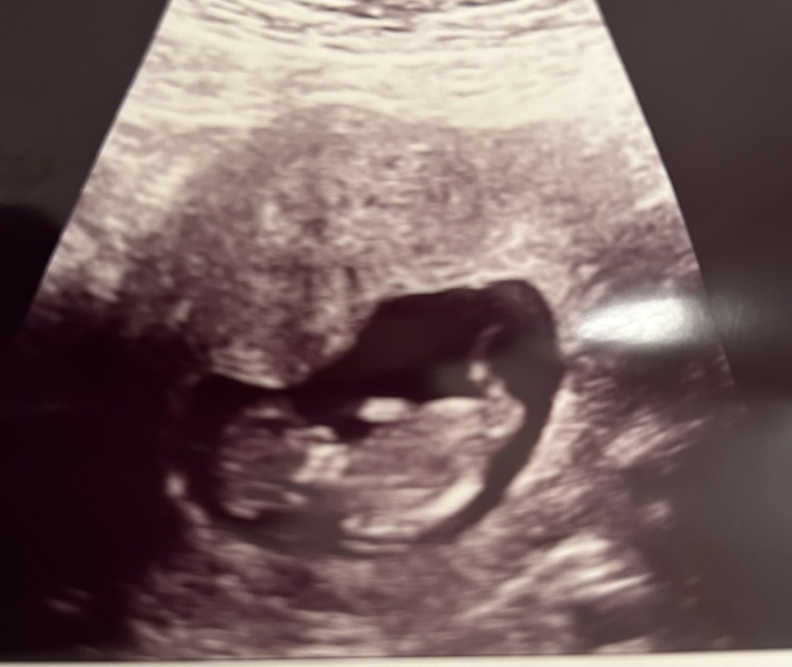 Due September 4.5 🐣♥️🧡💜
