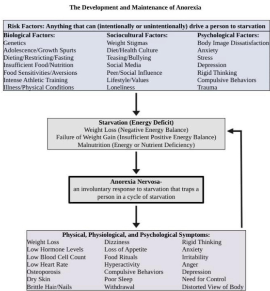 Support thread 12 for parents of young people with an eating disorder