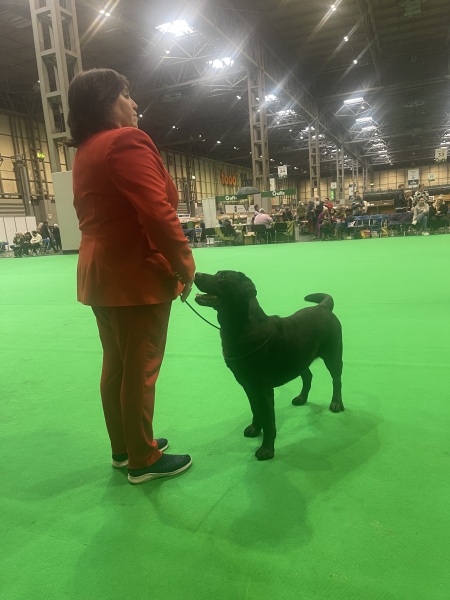 Crufts