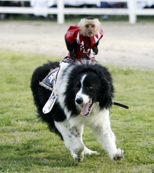 I'm being catfished on FB - LIVE!!!!