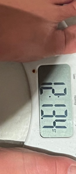 Continuing Mounjaro... Part 2