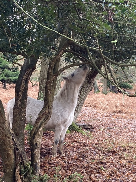 Any Witches here? Part 20