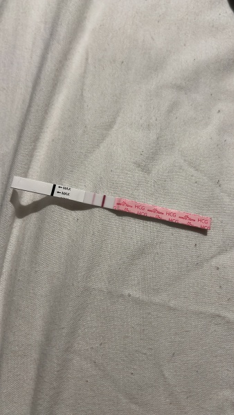 Do I trust the pregnancy tests?